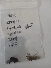 ETA 2390 Setting Lever Spring 445 