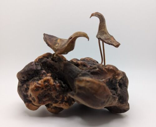 Stunning and Unique Vintage MCM Driftwood Copper Bird Sculpture 9"x5" Unsigned - 第 1/6 張圖片