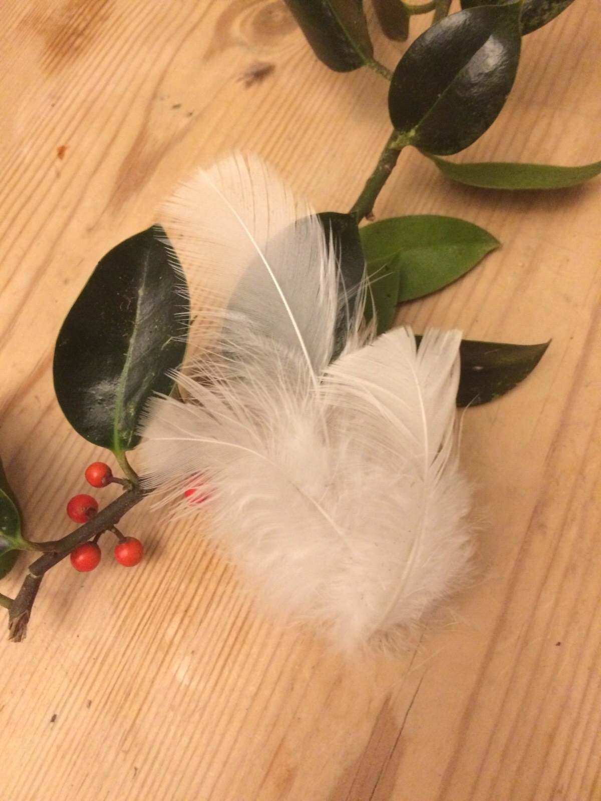 Picture 4 of 4