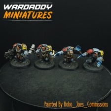 Pro Painted Warhammer 40k Space Wolves Termin...