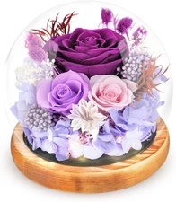 Preserved Flowers Rose in Glass Dome Forever Flowers Eternal Roses with Light Lo