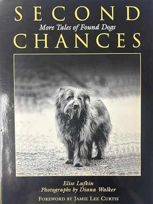 Second Chances: More Tales of Found - Hardcover, by Lufkin Elise - Very Good