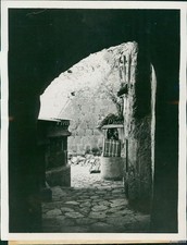 1938 Old Testament Burning Bush St Catherine Monastery Egypt Religion 7X9 Photo