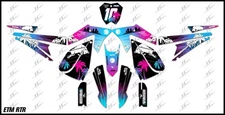 ETM RTR graphics kit decals  THICK AND HIGH GLOSS .....