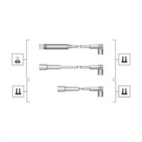 Magneti Marelli 941319170072 ZüNdleitungssatz FüR Ford Usa,Opel