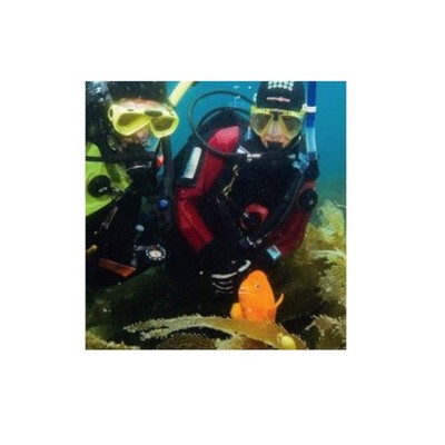 Padi eLearning Drysuit Diver Specialty Course