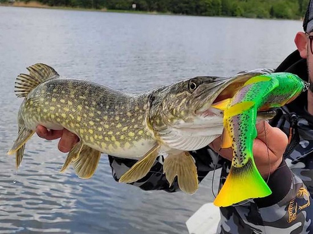 Esca Artificiale Savage Gear 3D Suicide Duck 10.5cm 28g - Per Pesca Predatori