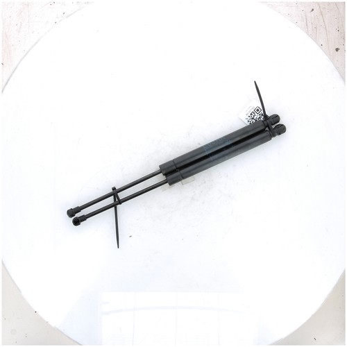 Paar Zylinder Kofferraum Heckklappe - BMW Serie 6 - Schwarz - 51247008764 -