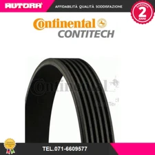 4PK780 Poly-V Belt (BRAND-CONTITECH)