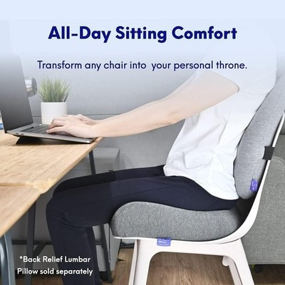 Cushion Lab Pressure Relief Seat Cushion and Extra Dense Lumbar Pillow Grey