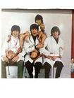 THE BEATLES - RARITIES - VINYL LP - CAPITOL  - SHAL 12060.