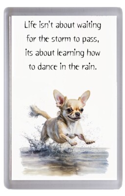 Chihuahua Hund Kühlschrankmagnet ''Dancing in the rain'' Gedicht