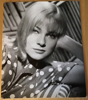 May Britt PORTRAIT Pressefoto