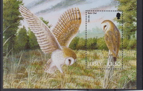 Jersey 2001 Barn Owl Miniature Sheet MNH