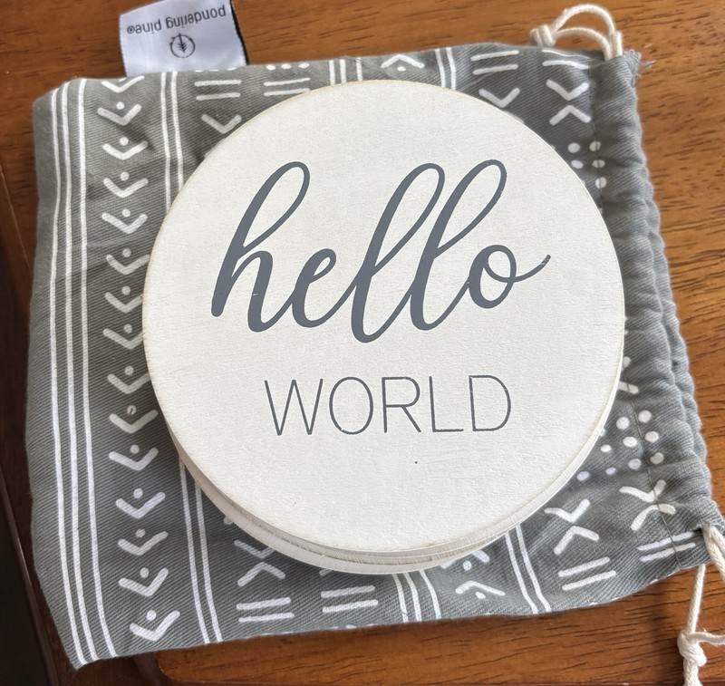 Baby Month Milestone Wooden Circles