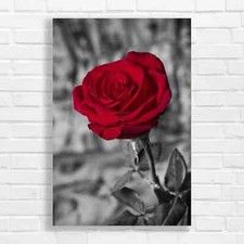 Vibrant Red Rose Canvas Print Large Picture Wall Art