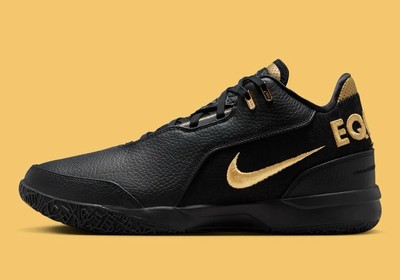 Nike Zoom Lebron NXXT Gen AMPD Equity Basketball Shoes FJ1566-103