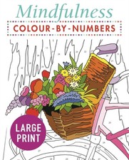 Mindfulness Colour By Numbers Large Prnt
