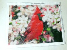 Diamond Art Painting COMPLETED HANDMADE RED CARDINAL Canvas 12 x 16"