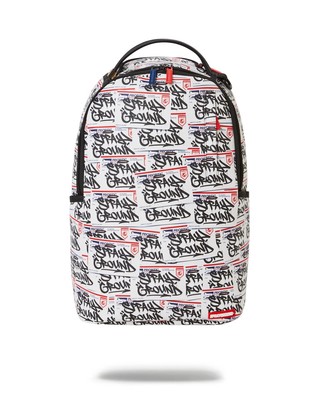 REMEMBER MY NAME (DLXR) BACKPACK SPRAYGROUND