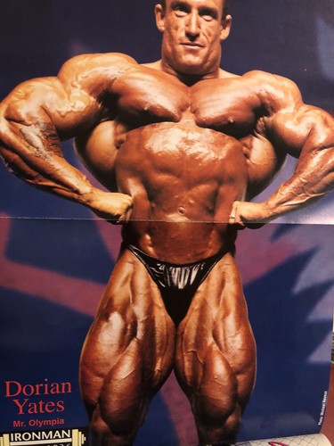IRONMAN 1994 Jan Vol.53 #1 Dennis Newman Cover! Dorian Yates Champ Poster! - Picture 9 of 12