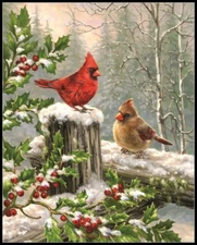 Winter Visitors - DIY Chart Counted Cross Stitch Patterns Needlework DMC Color 