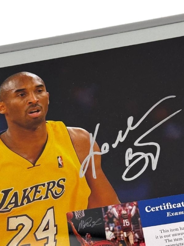 Kobe Bryant Autographed Los Angeles Lakers Photo Signed NBA PSA/DNA view 4