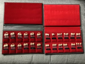 Vintage Trubyte Bioblend Shade Guides Lot of 2 READ