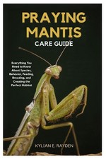 Praying Mantis Care Guide: Everything you Need to Know About Species Behavior, F
