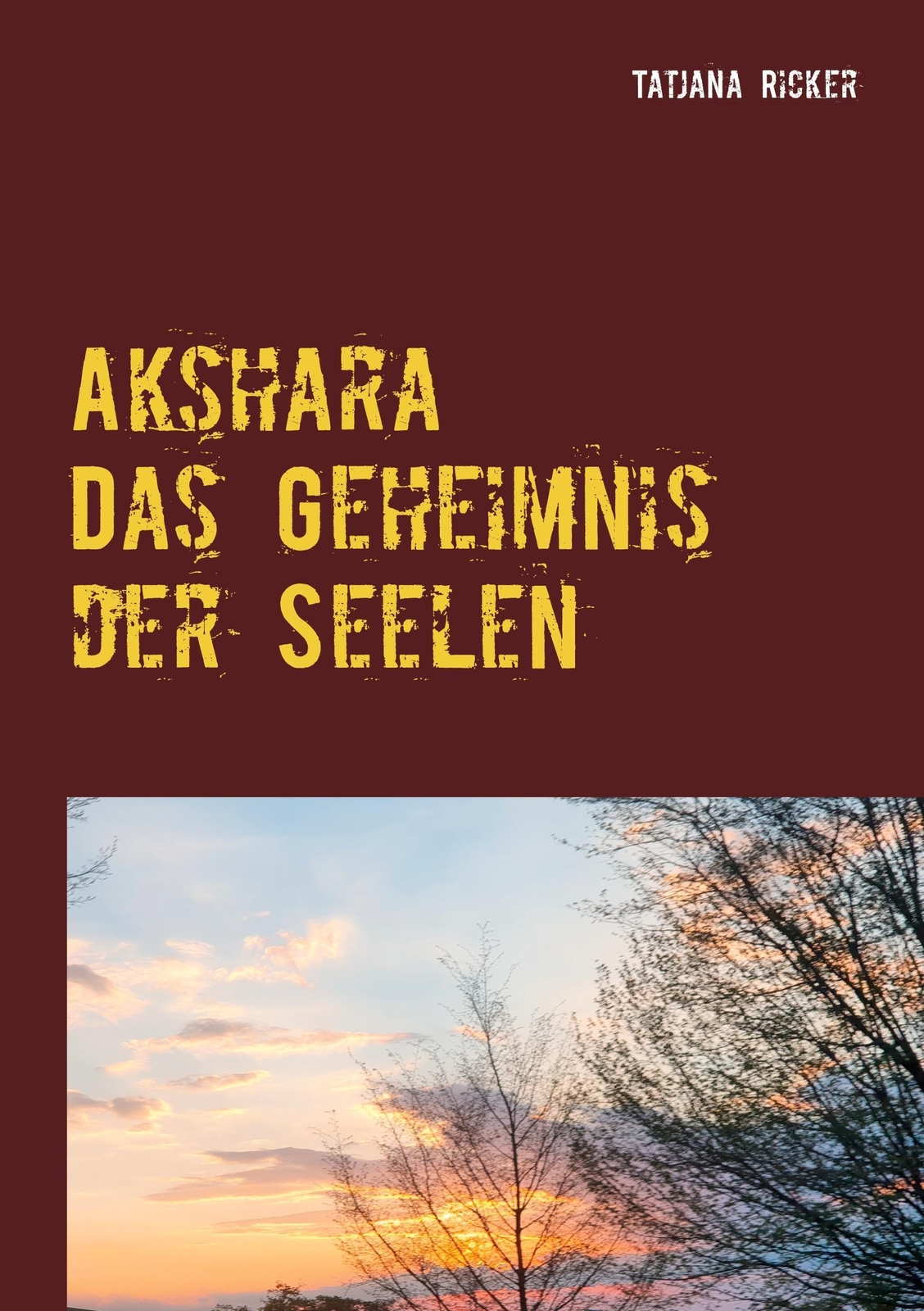Thumbnail - Akshara | Das Geheimnis Der Seelen | Tatjana Ricker | Buch | Akshara |