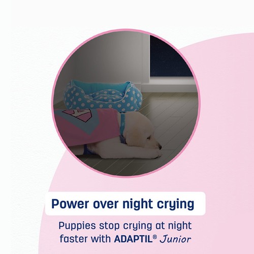 Adaptil Junior Calming Collar for Puppies - Picture 5 of 10