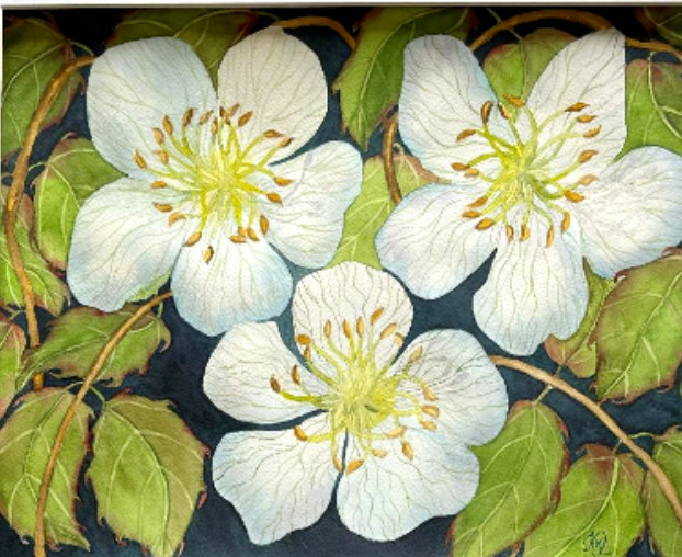 PAINTING WATERCOLOR ART WILD ROSE FLOWER WHITE BLUE 11"X14" & DOUBLE MAT 16X20