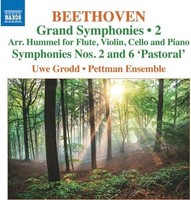 Audio Cd - Ludwig Van Beethoven - Grand Symphonies, Vol. 2 - Naxos -D- Neu