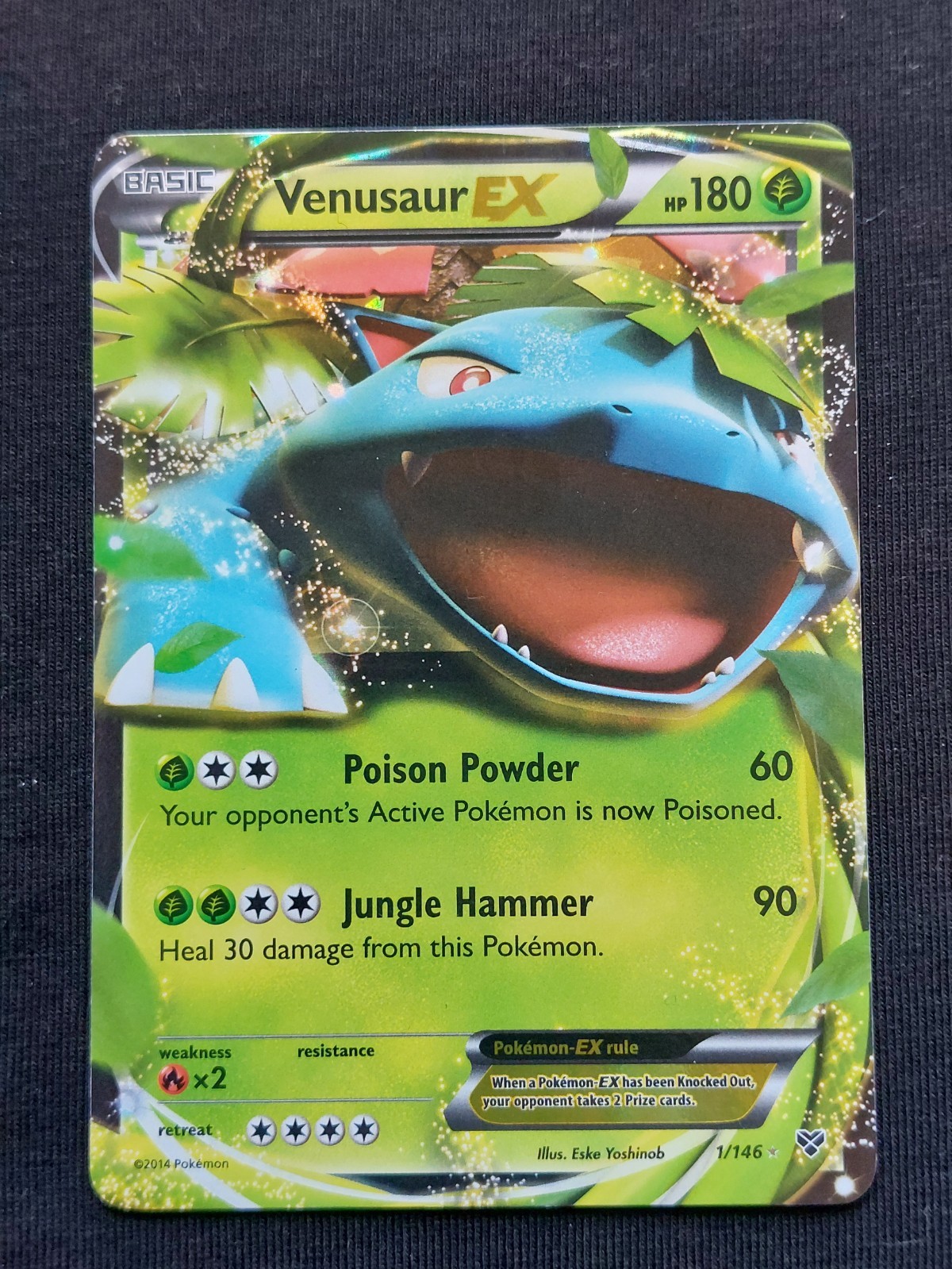 Pokemon - Venusaur EX 1/146 - XY Base - NM
