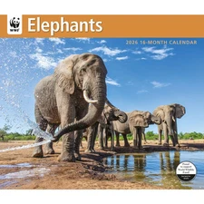 Carousel Calendars,  Elephants WWF 2026 Wall Calendar, 12.01'' X 14.09'', 16-Mon