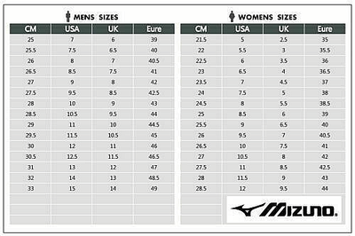 New Mizuno Volleyball Shoes Wave Momentum Pro V1GA2540 51 | eBay