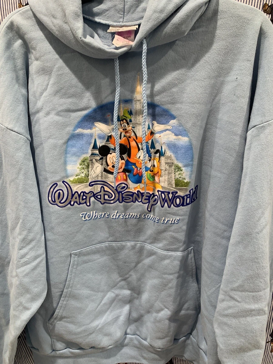 Walt disney world best sale hoodie