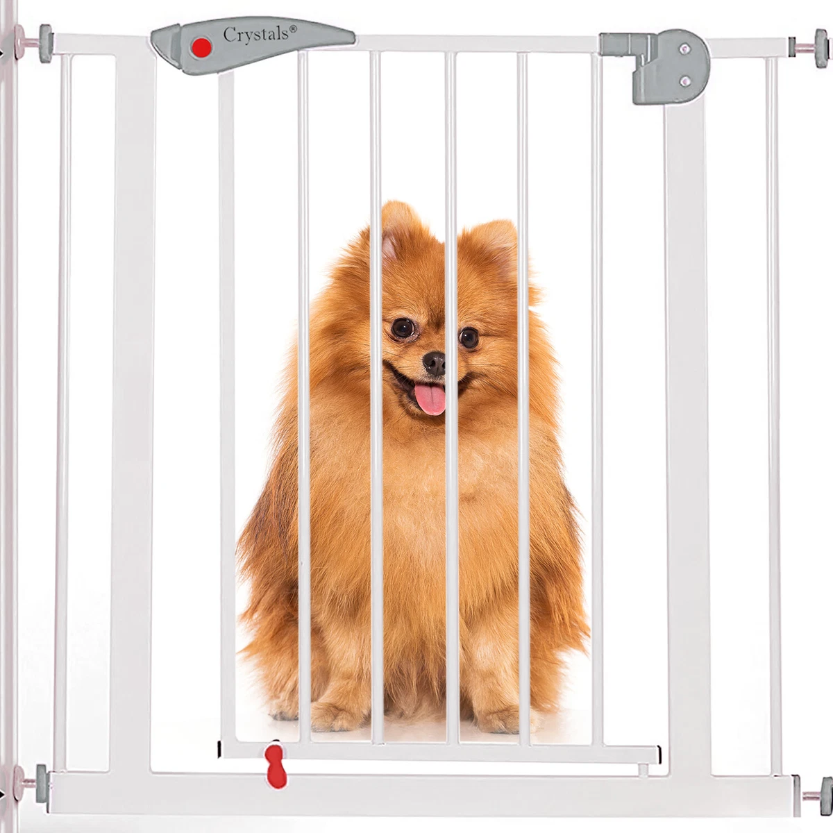 Dog barriers top for home