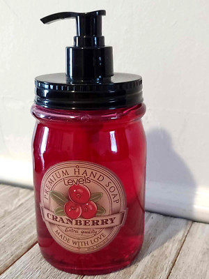 Levels Premium Cranberry Extra Quality Hand Soap Made With Love 16.9 fl oz