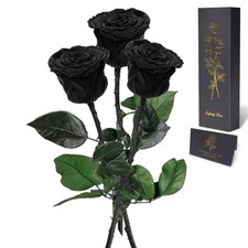 Preserved Flowers Rose Gifts for Mom Grandma Mom Birthday Gifts for Women Mot...