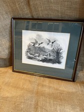 A FRAMED Print Of An Engraving By J Scott entitled “WILDFOWL”