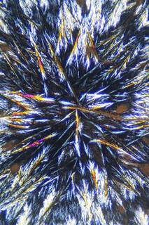 Antique microscope slide. Chemical crystals. "Zinc Sulphate".