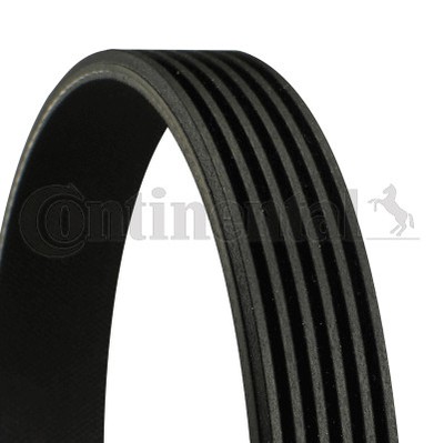 CONTINENTAL CTAM 6PK1352 V-RIBBED BELT FOR CITROËN,FORD,FORD USA,MERCEDES-BENZ,P