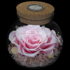 Preserved Real Roses with Colorful Mood Light Wishing Bottle, Eternal Rose Never
