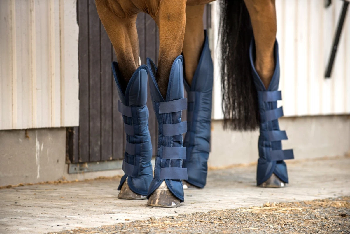 Horze Spirit Shipping Boots