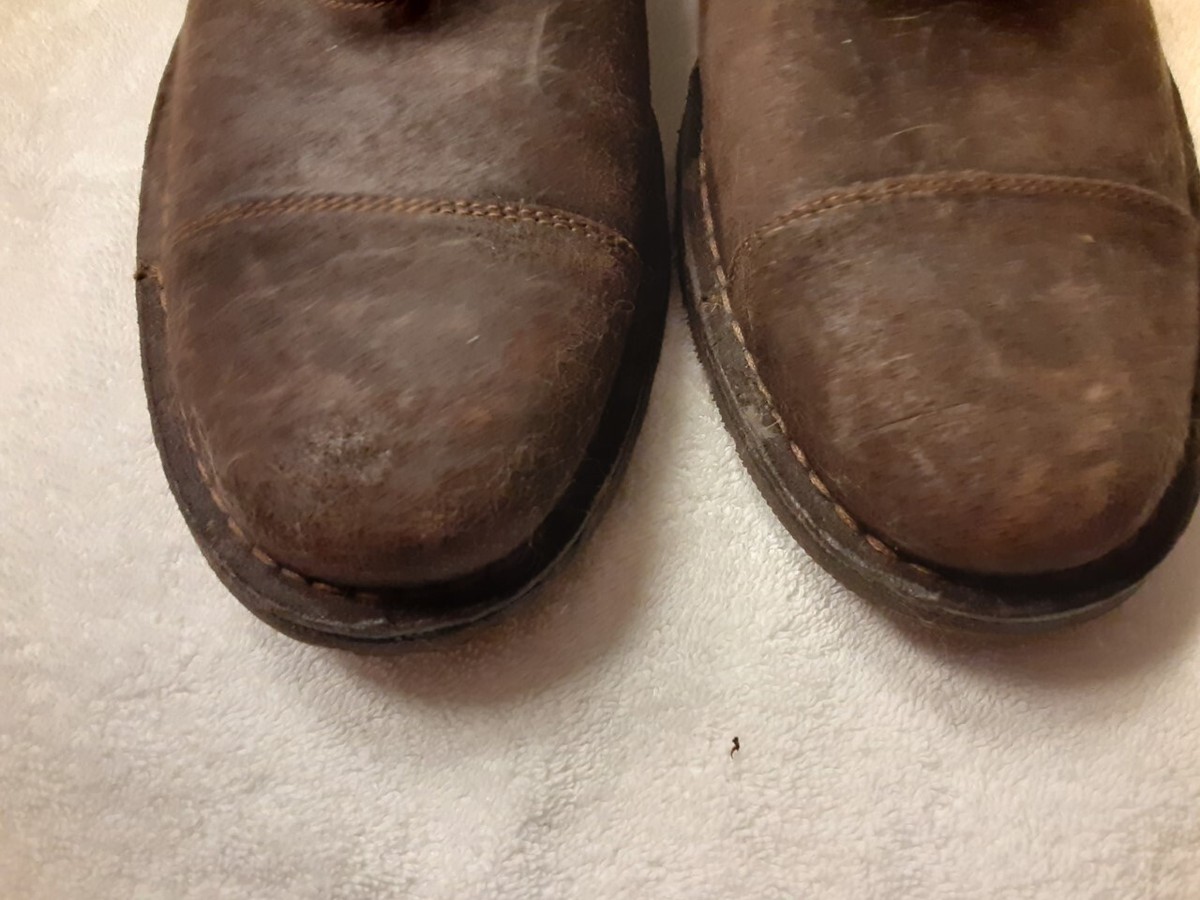 Ruhne 6004020 Size 12 WW Brown Oxfords Mens R4C12 The Ramses Wholecut Oxford - Dark Brown Chocolate – Paul Evans main image 3