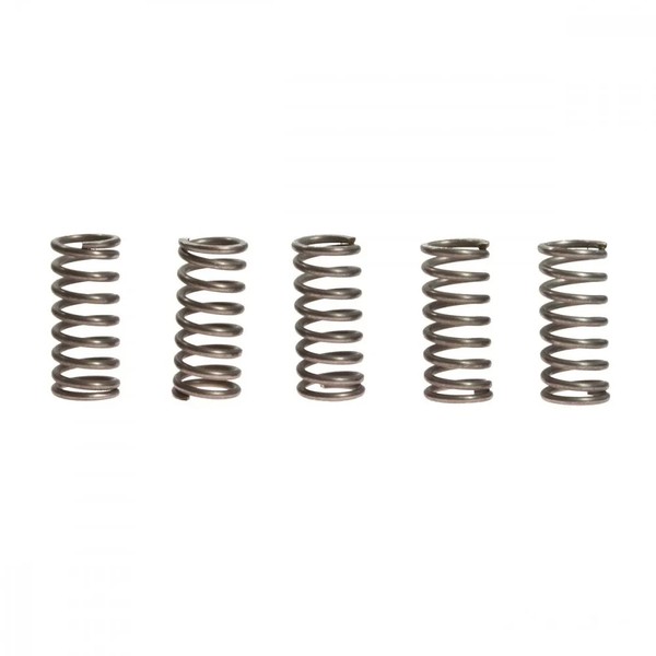 Kupplungsfeder VerstäRkt (5Stk) EBC CSK068 FüR Triumph Tiger 900 Bj. 1993-1998-image