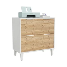 LITTLE TREE 2-Drawer File Cabinet, Lateral Filing Cabinet for A4/Letter/Legal...
