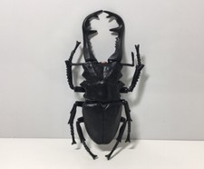 RETIRED SEGA Life Size Odontolabis Dalmanni Stag Beetle PVC Insect Figure