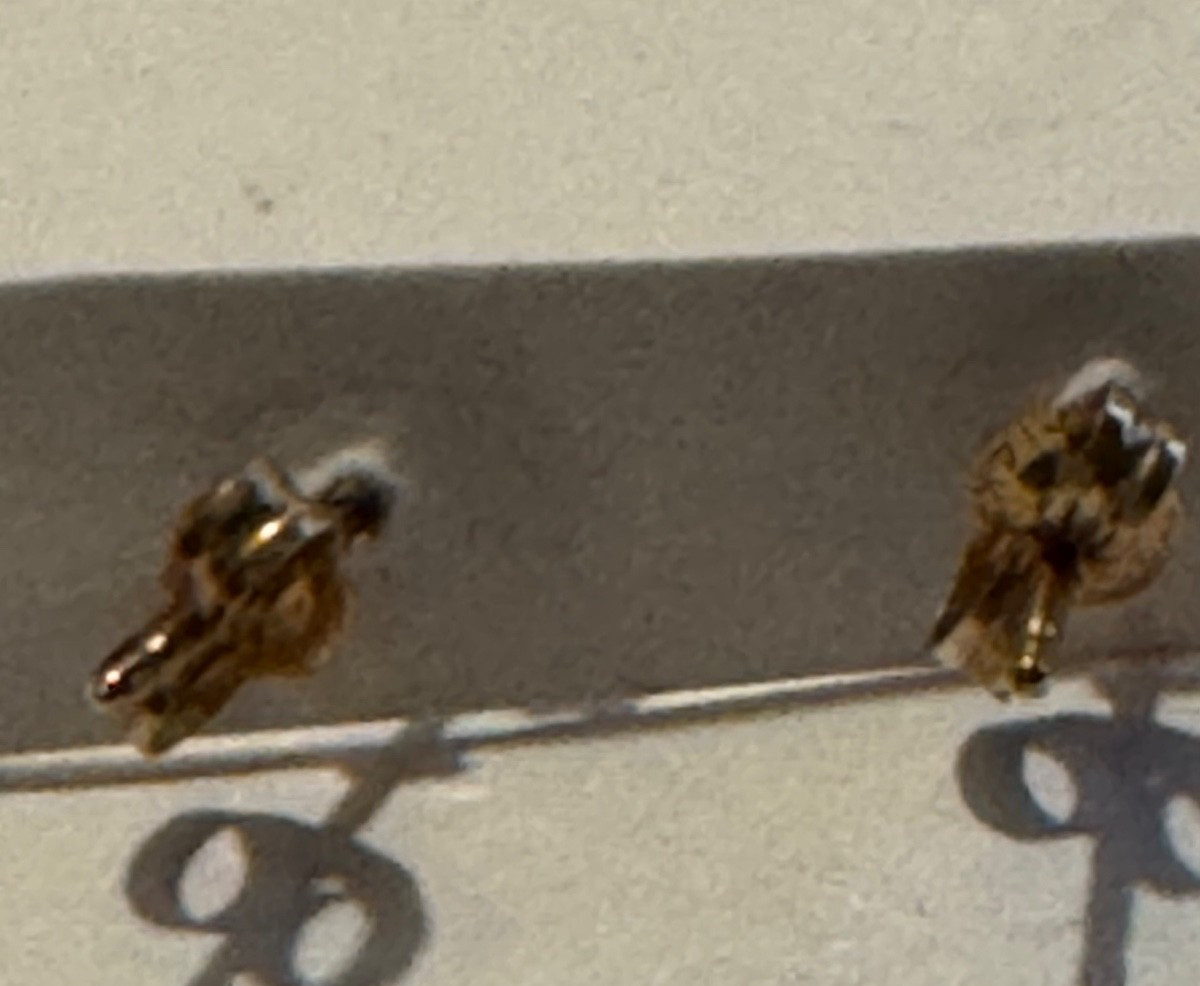 Tiny 14K Gold Shell Design Stud Earrings - image 4